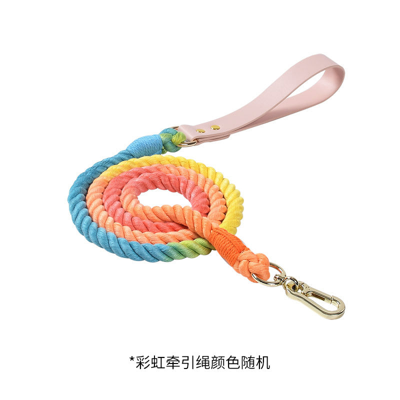 Maria Wholesale Amazon New Products Woven Colorful Dog Leash Pet Leash Set Leather Dog Collar Pet Supplies