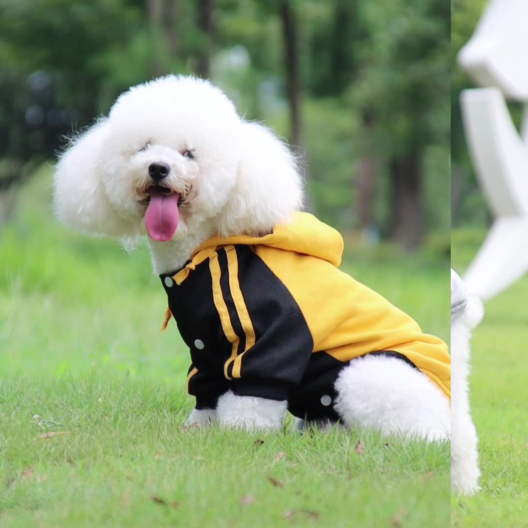 2021 new pet clothes autumn and winter warm dog sweater small and medium dog fleece hooded sweater wholesale