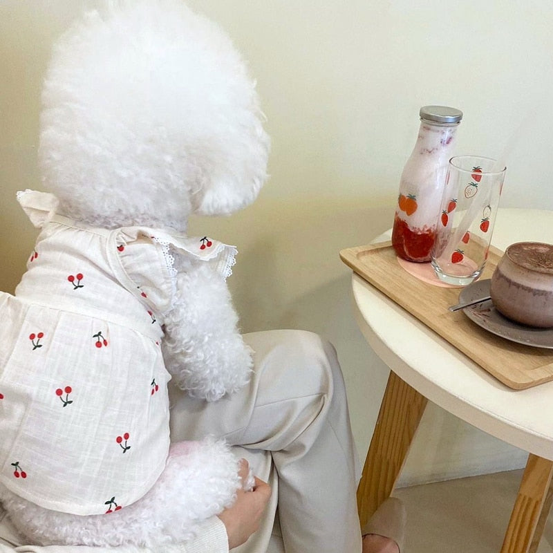 Pet Dog Skirt Spring Summer Thin Puppy Dress Pet Fruit Clothes Bichon Cherry Clothes Soft Dog Clothes XS-XL