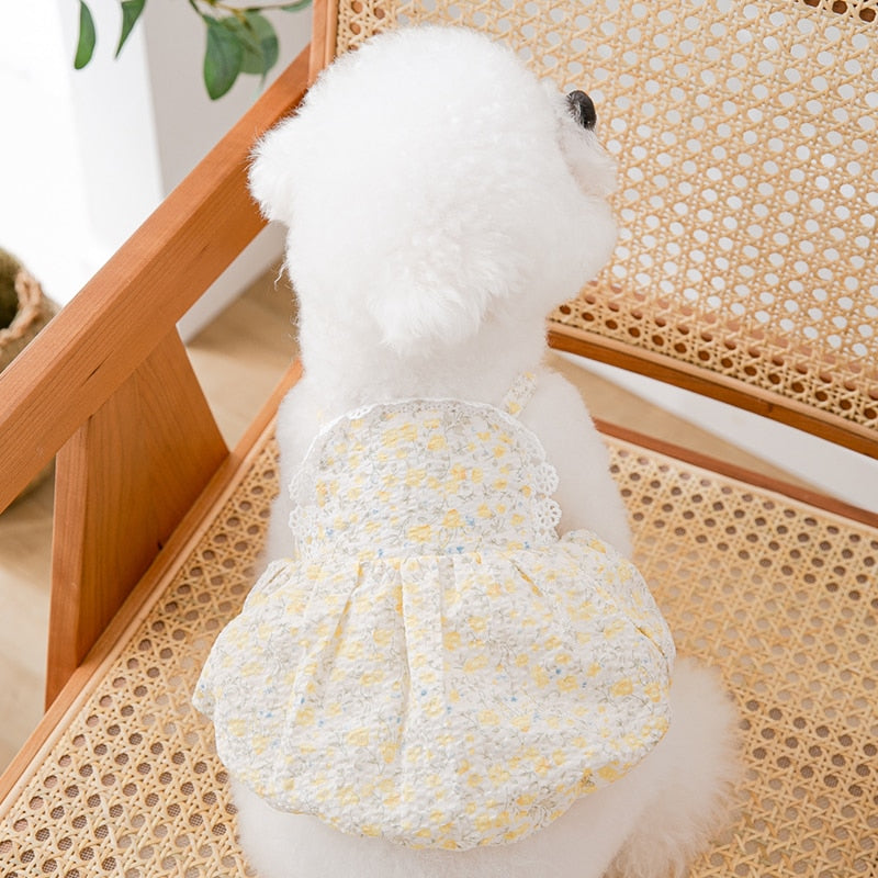 Pet Dog Skirt Spring Summer Thin Puppy Dress Pet Fruit Clothes Bichon Cherry Clothes Soft Dog Clothes XS-XL