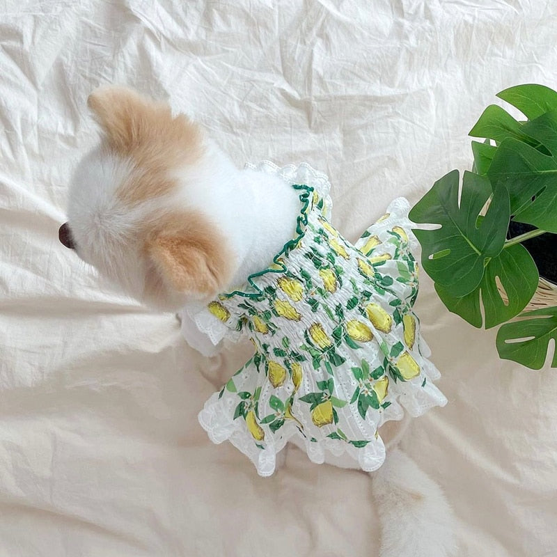 Pet Dog Skirt Spring Summer Thin Puppy Dress Pet Fruit Clothes Bichon Cherry Clothes Soft Dog Clothes XS-XL