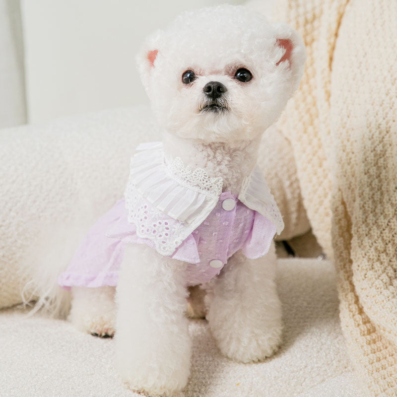 Pet Dog Skirt Spring Summer Thin Puppy Dress Pet Fruit Clothes Bichon Cherry Clothes Soft Dog Clothes XS-XL