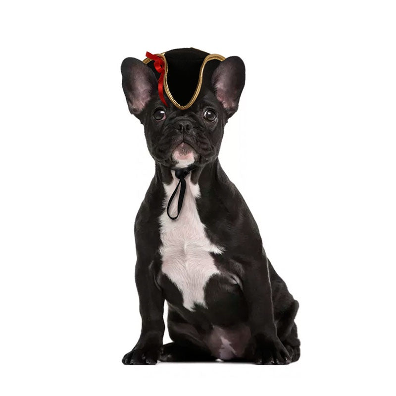 Pet Spring and Summer Cartoon Pirate Style Headwear Halloween Funny Photo Hat Props Four Seasons Universal Dress Up Hat