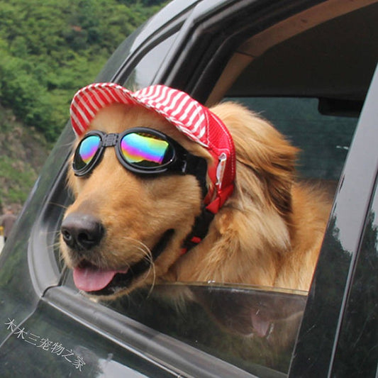 Pet Hat Dog Cat Baseball Cap Headdress Cat Hat Teddy/Golden Retriever Large Dog Sun Hat Sun Hat Breathable Pet Supplies & Pet Dog products Pet fashion products