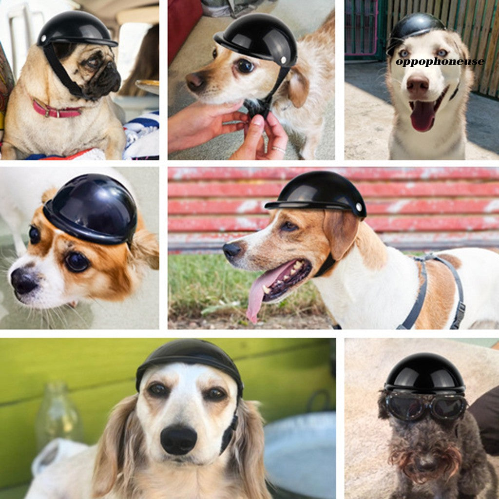 CWYP_Fashion Pet Dog Cat Motorcycle Safety Helmet Protective Hat Ridding Cap Headwear