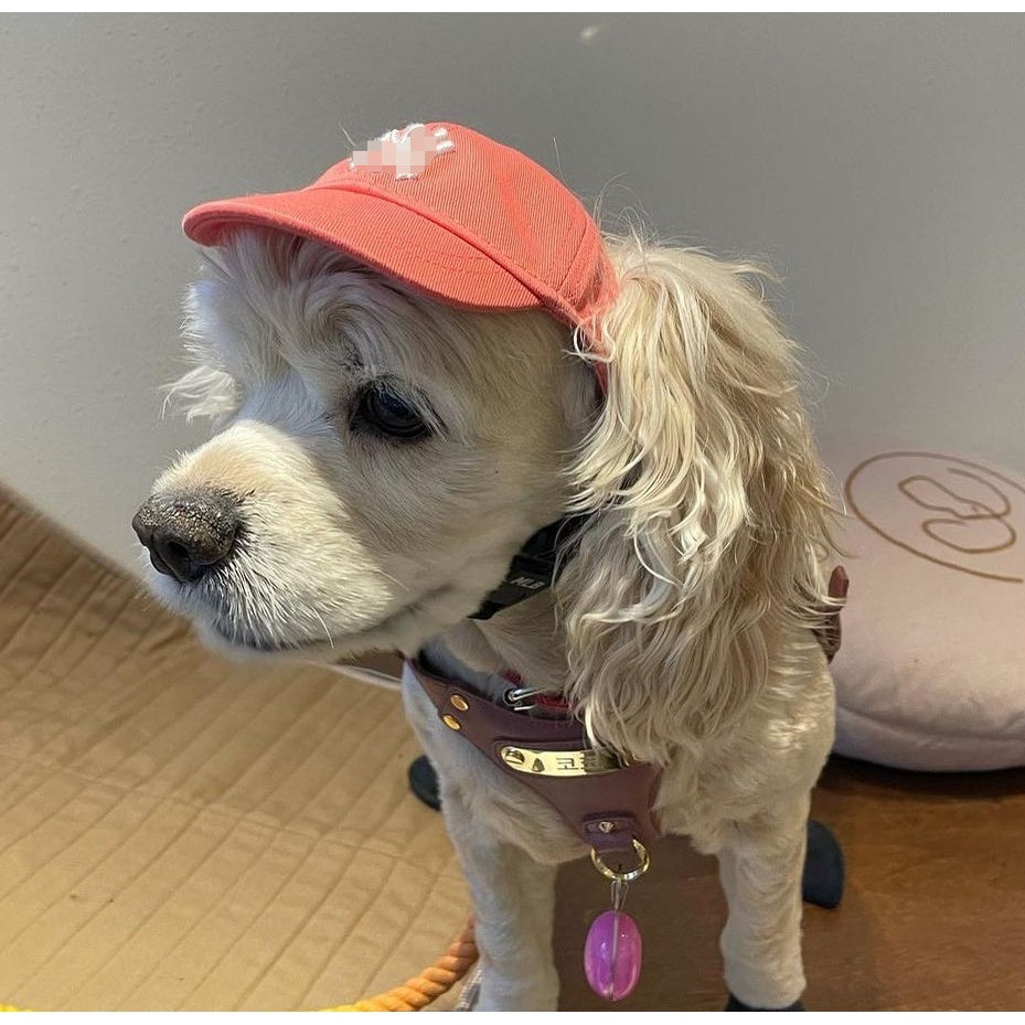 Pet Hat Korea Korean Version Ins Pet LA Hat Dog Accessories Sun Hat Adjustable NY Baseball Cap