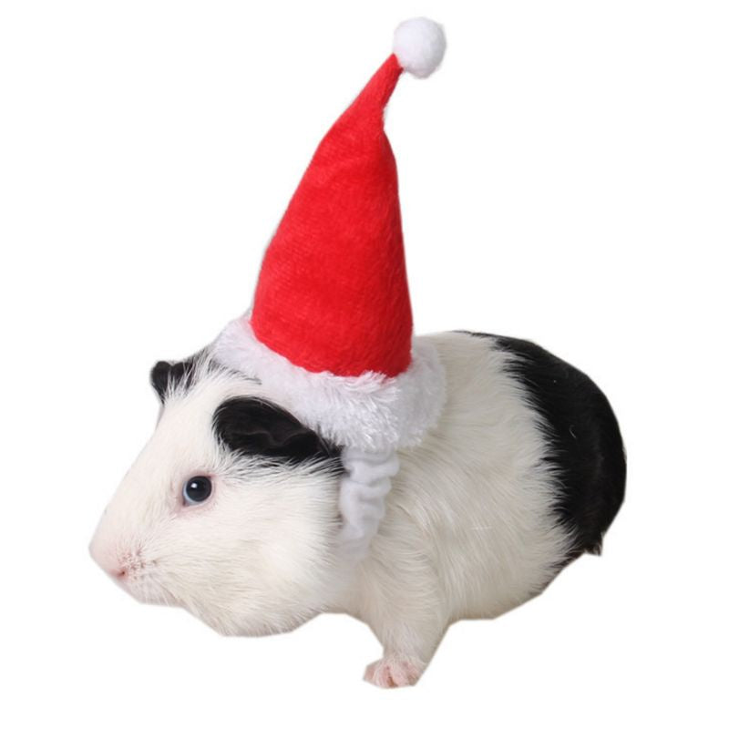 ESP Small Animals Pet Santa Claus Hat Rabbit Hamster Guinea Pig Rats Christmas Cap