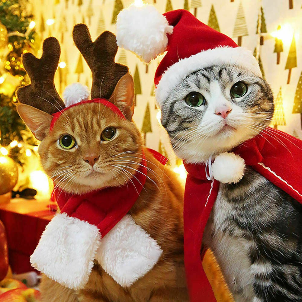 Fast delivery Pet Cat Dog Puppy Santa Red Scarf Hat Christmas Clothes Costumes Warm Apparel My living