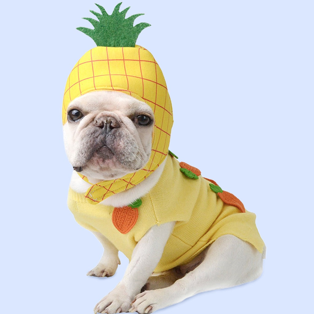 gooditem Pet Cap Cartoon Fruit Photography Prop Soft Texture Cute Pet Cats Puppy Pineapple Shape Hat for Theme Party