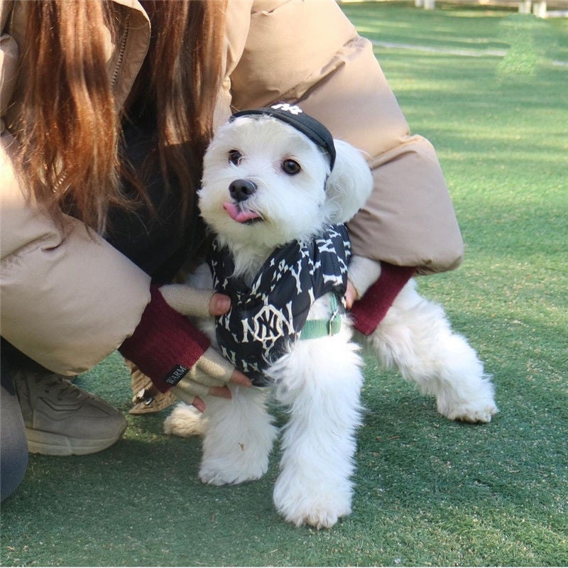 DailyPet Love Pet Shop|Korea Korea NY Cat Dog Small Hat ins Style English Embroidered Cap Baseball Teddy Bichon LA Cute Earless Puppy