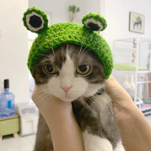 Pet Cartoon Knitted Cat and Dog Hat Cute Frog Shape Headwear