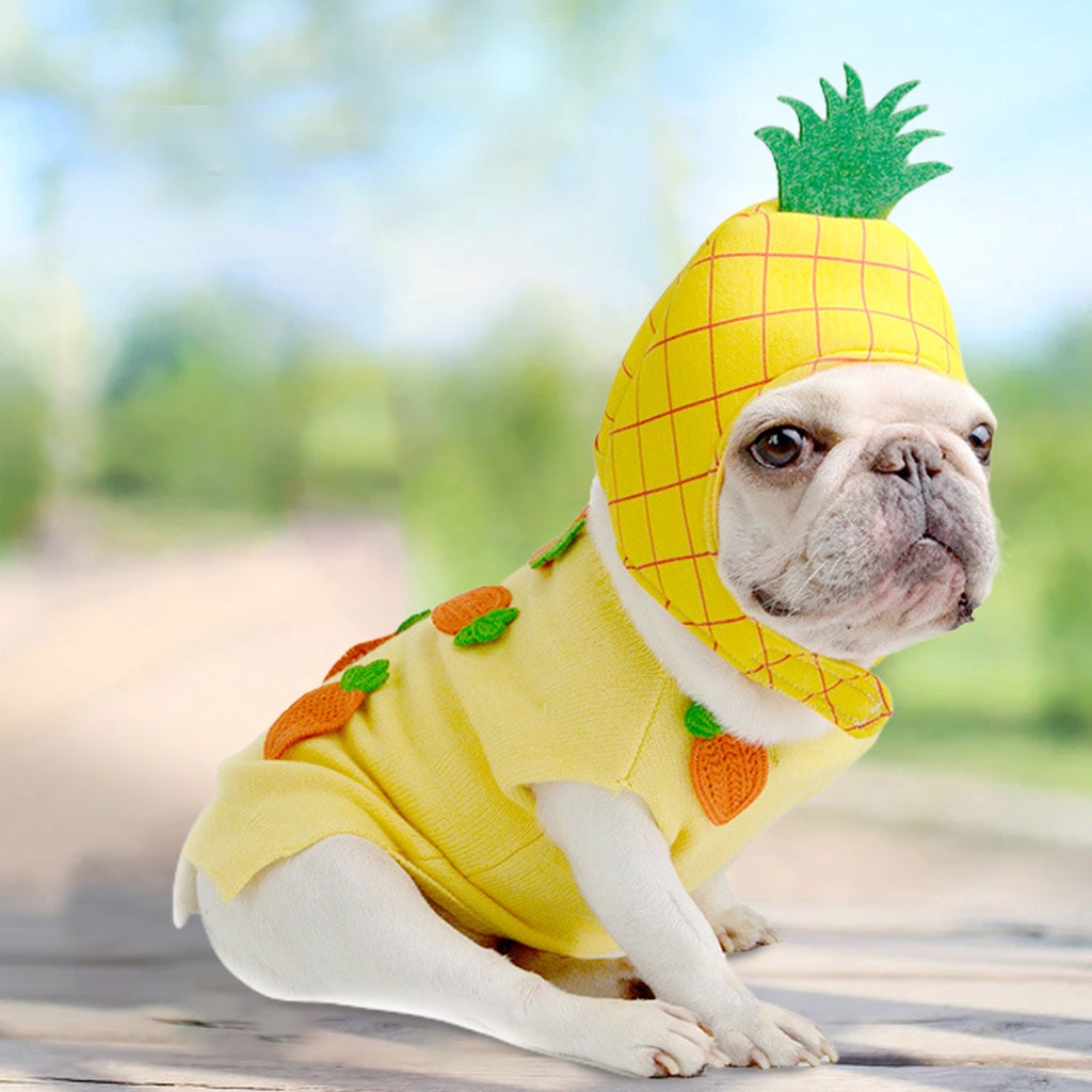 gooditem Pet Cap Cartoon Fruit Photography Prop Soft Texture Cute Pet Cats Puppy Pineapple Shape Hat for Theme Party