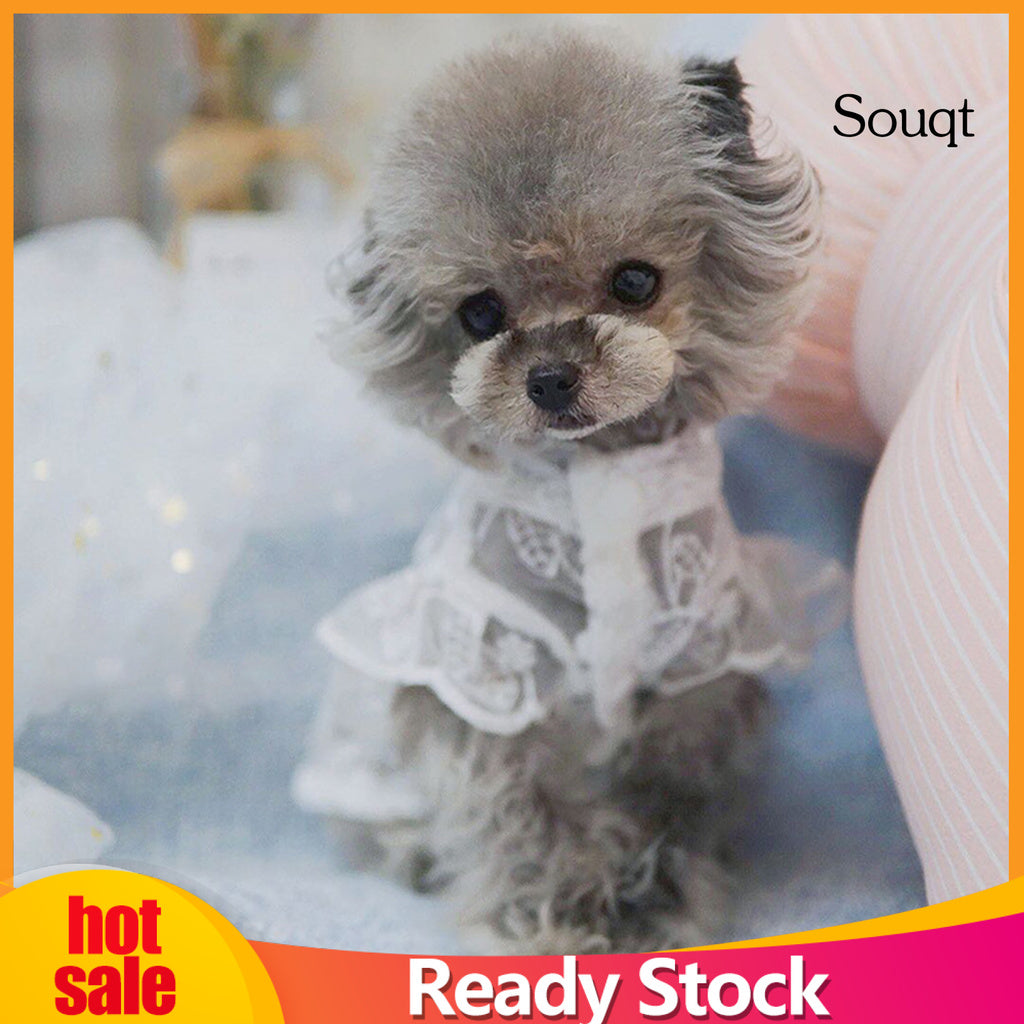 Pet Hat Breathable Good-looking Round Neck Puppy Lace Skirt for Dog Supplies