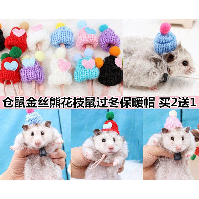 Hamster Djungarian Hamster Hat Mini Douyin Photographing Selling Cute Buy 2 Get 1 Free Flower Branch Honey Bag Hamster Winter Thermal Supplies Pet Supplies & Pet Dog products Pet fashion products