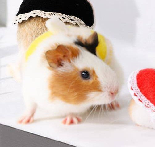 Hamster Clothes Dress Cute Hat Hand Holding Rope Takeaway Bag Small Warm Mini Rabbit Guinea Pig Pet Pet Supplies & Pet Dog products Pet fashion products