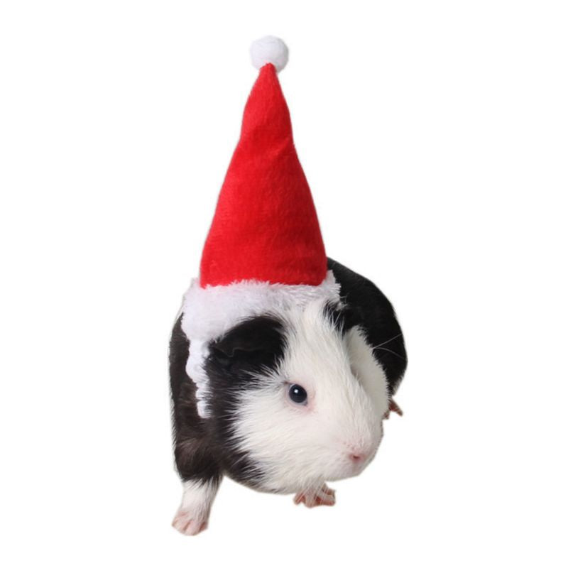 ESP Small Animals Pet Santa Claus Hat Rabbit Hamster Guinea Pig Rats Christmas Cap