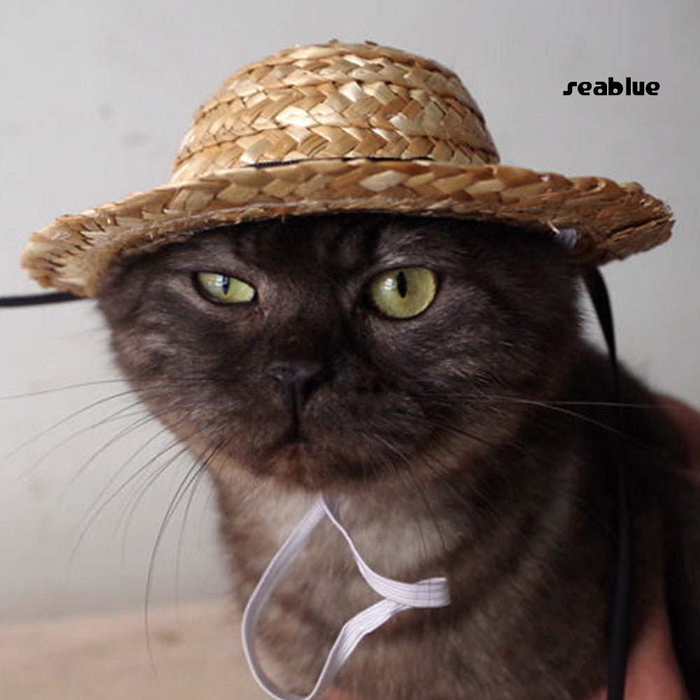 Novelty Summer Adjustable Pet Dog Outdoor Straw Hat Puppy Small Cat Sunhats