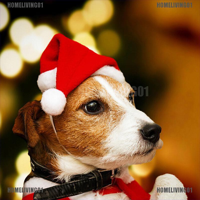 ［COD］HOMELIVING01 Christmas pet santa hat small puppy cat dog xmas holiday costume ornaments