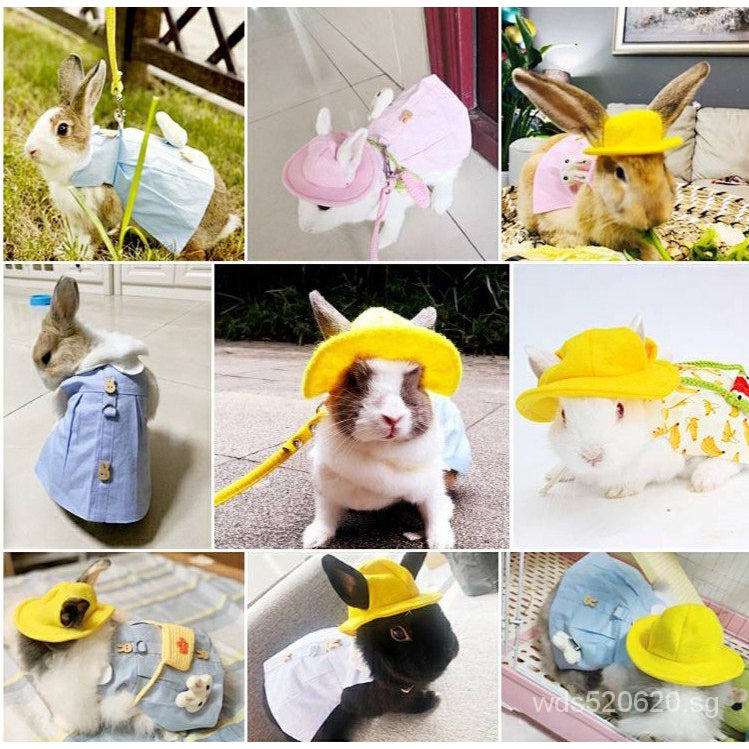 Rabbit Clothes Pet Clothing Japanese Style Guinea Pig Coat Hat Supplies Fashion For Douyin Video Cute Pet Supplies & Pet Dog products Pet fashion products w0Mj