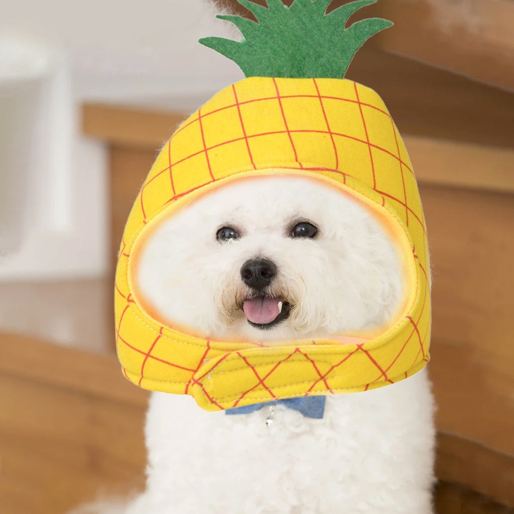 gooditem Pet Cap Cartoon Fruit Photography Prop Soft Texture Cute Pet Cats Puppy Pineapple Shape Hat for Theme Party