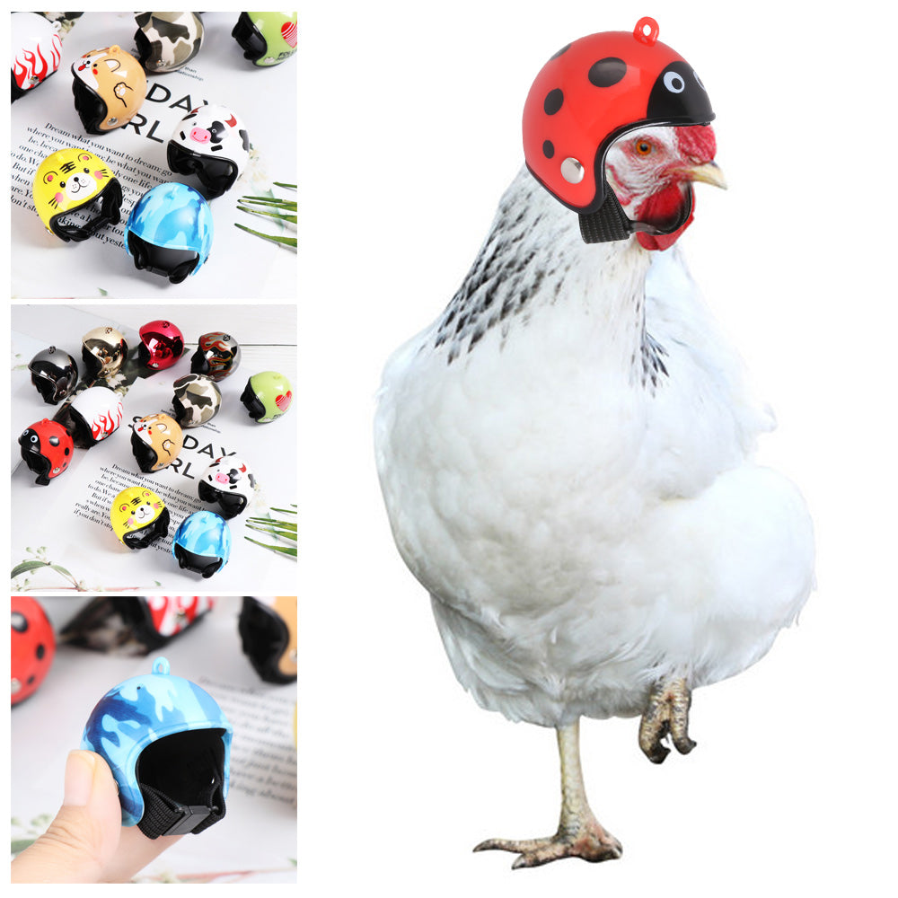 LONTIME Toy Pet Protective Headgear ABS Sun Rain Protection Hats Chicken Helmet Accessories Light Pet Supplies Funny Bird Protect Cap