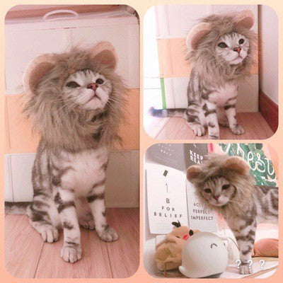 Pet headwear/headwear/pet wig hat/pet dog cat hood/dog cat costume/pet lion head cover/pet accessories/pet headwear/pet/cat/dog